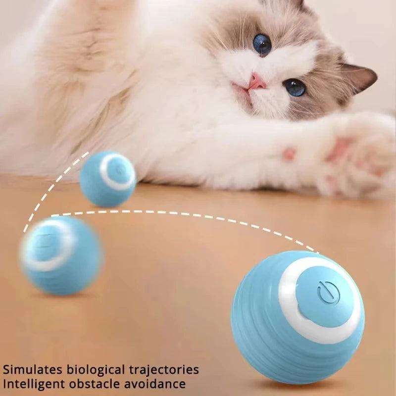 Cat Interactive Ball - Freshtrendingproduct