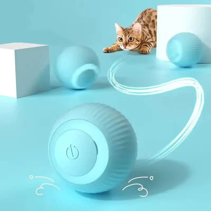 Cat Interactive Ball - Freshtrendingproduct