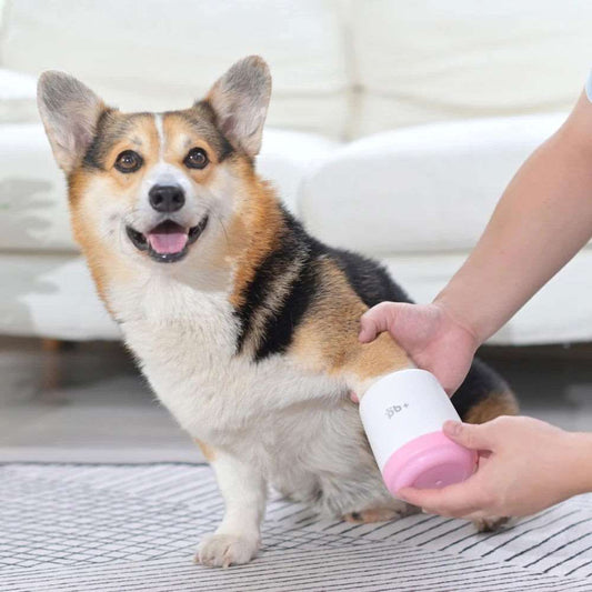 Dog Paw Clean - Freshtrendingproduct