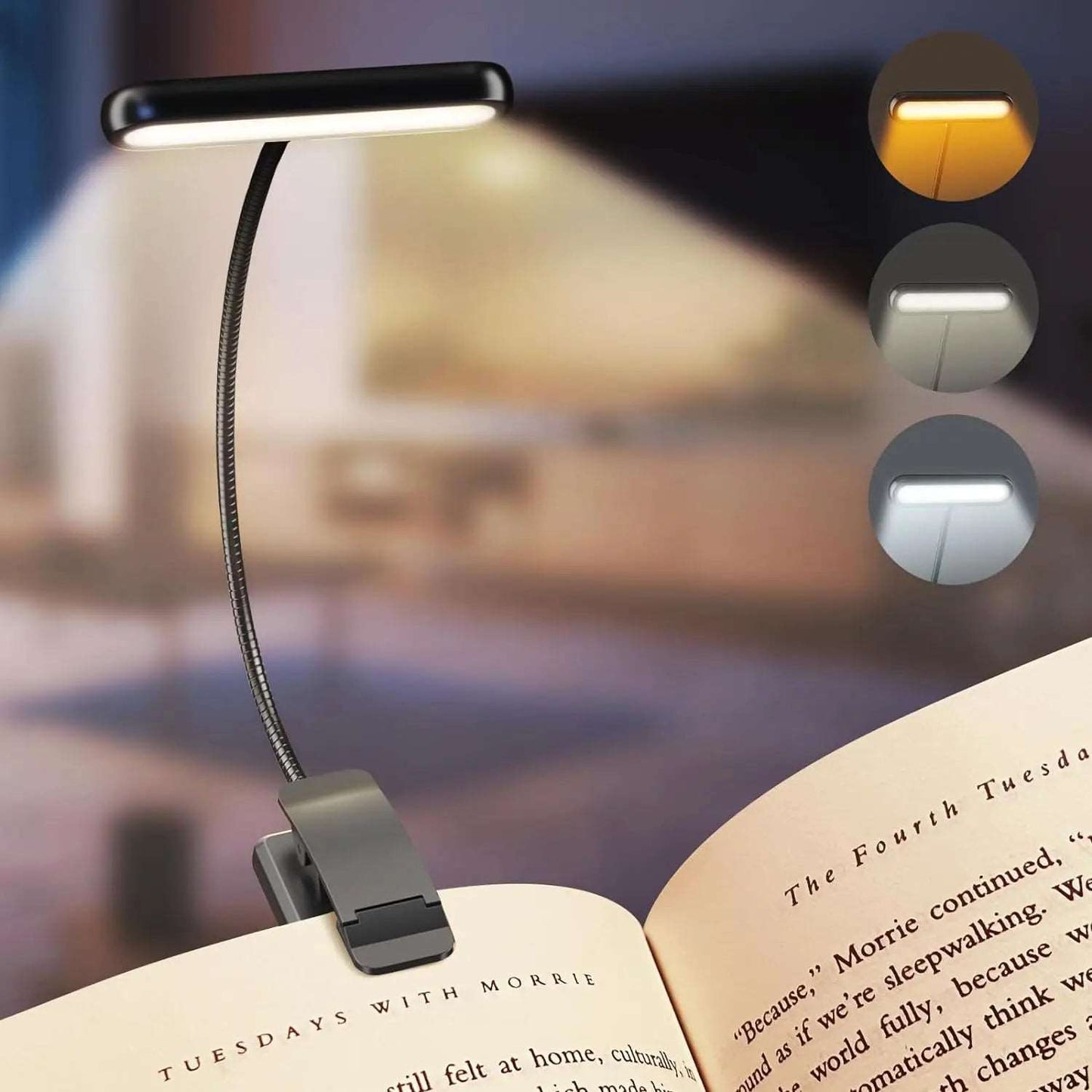 Leds Book Light - Freshtrendingproduct