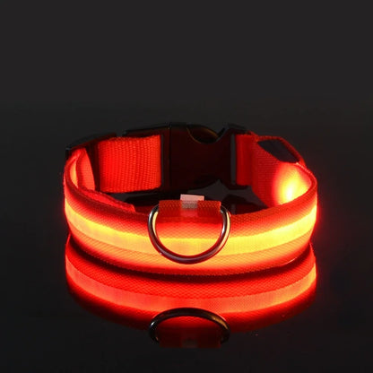 Dog Collar Nylon LED Night Safety Flashing Glow In The Dark Pet Dog Leash pet Dogs Luminous Fluorescent  dog accessories collar Freshtrendingproduct