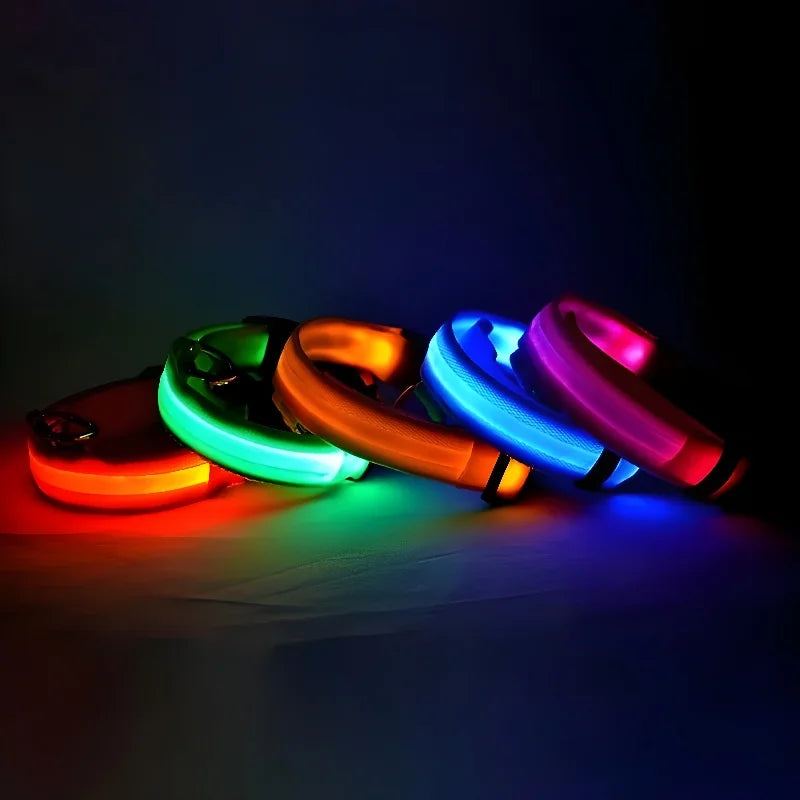 Dog Collar Nylon LED Night Safety Flashing Glow In The Dark Pet Dog Leash pet Dogs Luminous Fluorescent  dog accessories collar Freshtrendingproduct