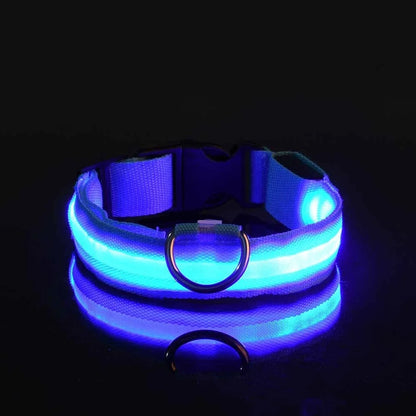 Dog Collar Nylon LED Night Safety Flashing Glow In The Dark Pet Dog Leash pet Dogs Luminous Fluorescent  dog accessories collar Freshtrendingproduct