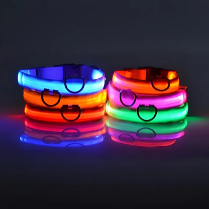 Dog Collar Nylon LED Night Safety Flashing Glow In The Dark Pet Dog Leash pet Dogs Luminous Fluorescent  dog accessories collar Freshtrendingproduct