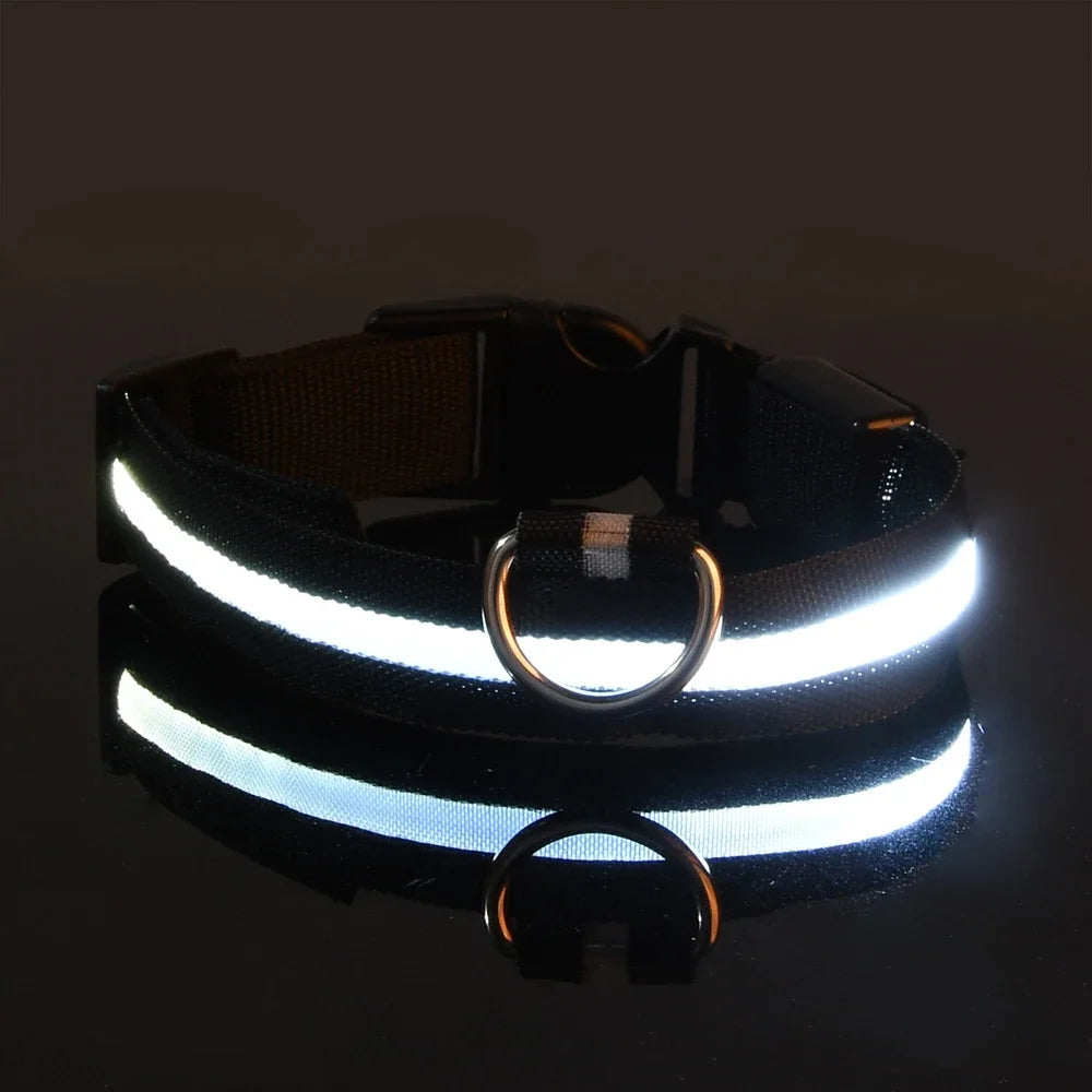 Dog Collar Nylon LED Night Safety Flashing Glow In The Dark Pet Dog Leash pet Dogs Luminous Fluorescent  dog accessories collar Freshtrendingproduct