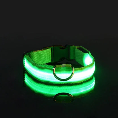 Dog Collar Nylon LED Night Safety Flashing Glow In The Dark Pet Dog Leash pet Dogs Luminous Fluorescent  dog accessories collar Freshtrendingproduct