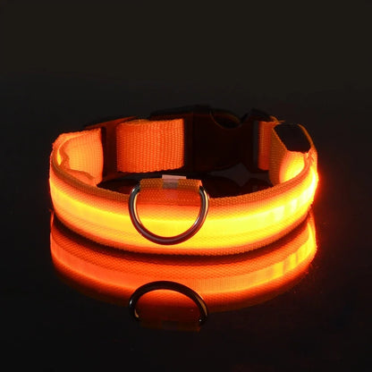 Dog Collar Nylon LED Night Safety Flashing Glow In The Dark Pet Dog Leash pet Dogs Luminous Fluorescent  dog accessories collar Freshtrendingproduct