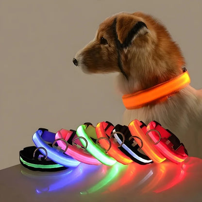 Dog Collar Nylon LED Night Safety Flashing Glow In The Dark Pet Dog Leash pet Dogs Luminous Fluorescent  dog accessories collar Freshtrendingproduct