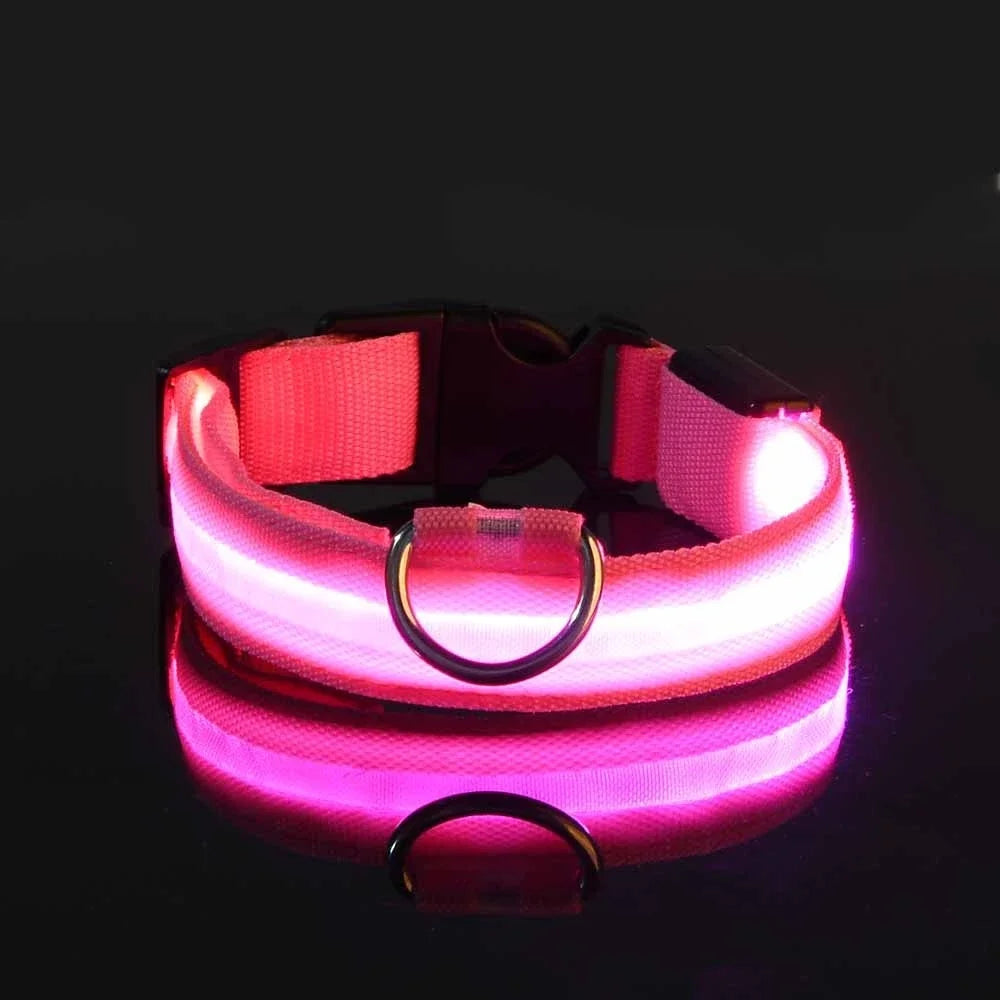 Dog Collar Nylon LED Night Safety Flashing Glow In The Dark Pet Dog Leash pet Dogs Luminous Fluorescent  dog accessories collar Freshtrendingproduct