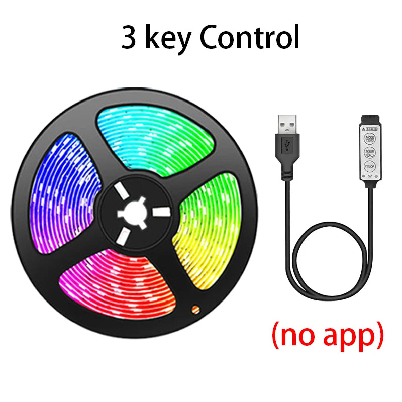 RGB 5050 Led Strip Light Bluetooth App 5V USB Led Tape Flexible Ribbon Diode Tape for TV Backlight Gaming Room Decoration Freshtrendingproduct